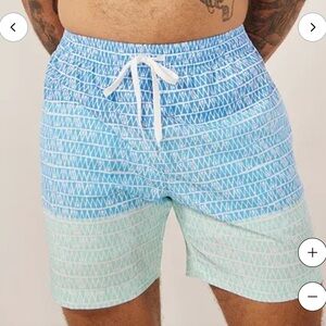 Chubbies Blue and Green Swim Shorts Like New  xl